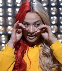 Melisa Fox Sticker (2pcs 5.5 inch, 4pcs 2.5 inch, 6pcs 1.8 inch)