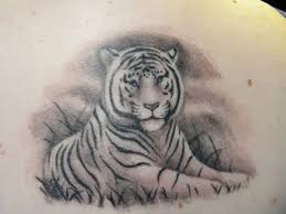 Check spelling or type a new query. 15 Best Tiger Tattoo Designs And Meanings With Images Styles At Life
