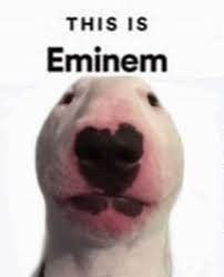 1 666 Likes 16 Comments Walter Qooter On Instagram Cant Believe Its Already Easter Funny Memes Funny Relatable Memes Stupid Funny Memes