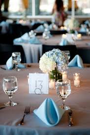 Wedding Ideas Sky Blue Sky Blue Weddings Blue Wedding Decorations Baby Blue Weddings