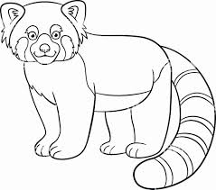 Red Panda Coloring Page Inspirational Coloring Pages Little Cute Red Panda Smiles Stock Vector Clip Art Art Panda