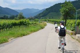 Bike Ride Through The Wachau Valley In Lower Austria Bike Trips Bike Ride Bike Tour