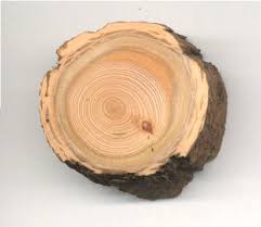 Region 35 30 hardwood energy values species density heat value lb/cu. Useful Tree Species For Tree Ring Dating