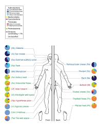 The Human Skin Microbiome Project Microbiology A Laboratory Experience