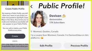 Anyone can create lenses using the free software. How To Get A Public Profile On Snapchat Youtube