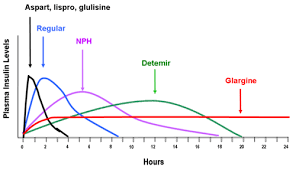 Insulin Review Aspart Acts Fast Onset 5 15mins Peak