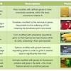 This is in contrast to mutations, which are changes in the genomes of organisms. 1