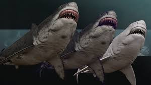 See more ideas about shark, megalodon shark, megalodon. Megalodon Wallpaper 1920x1080 Download Hd Wallpaper Wallpapertip