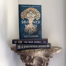 Amazon.com: The Drowned Woods: 9780759556317: Lloyd-Jones, Emily: Books