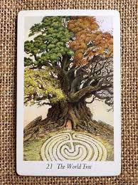 This stunning new tarot card deck introduces us to classic forest. Card Of The Day The World Tree Parting The Mists