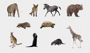 Zip files opener is a very useful software but the official website of the publisher is closed. Download Free Png Pack Images Zip File Png Packs