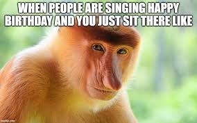 Get it as soon as wed, mar 24. Pin By Agata W On Funny In 2021 Singing Happy Birthday Funny Memes Memes