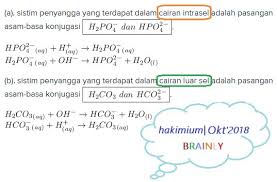 Larutan Penyangga Yang Terdapat Dalam Cairan Intrasel Darah Adalah Brainly Co Id