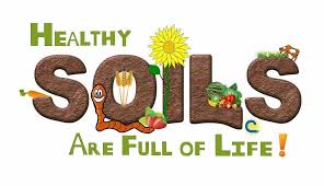 2017 Conservation Poster Contest Healthy Soils Are Full Of Life Soil Conservation Soil And Water Conservation Water Conservation Poster