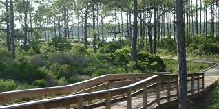 Andrews state park hotels near shell island hotels near ripley's believe it or not hotels near zooworld zoological conservatory hotels near coconut creek family fun park hotels near shipwreck island waterpark. St Andrews State Park Days Inn Panama City Beach Florida