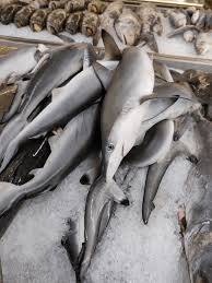 Umpan ikan tawes 2 selain cara diatas, anda juga dapat menggunakan cara berikut. Dia Takde Kesed4ran Ke Net1zen Tegvr Alha Alfa Upload Video Masak Gulai Ikan Yu Sebab Diari