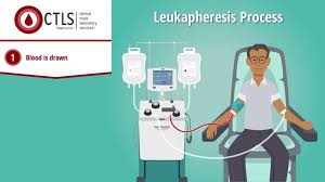 Image result for Apheresis