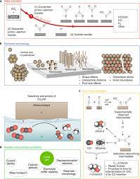 Product prices and availability are accurate as of the date/time indicated and are subject to change. Advances And Challenges In Understanding The Electrocatalytic Conversion Of Carbon Dioxide To Fuels Nature Energy
