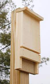 Coveside Bat House Kit 20 Bats At Bestnest Com Bat House Bat House Plans Build A Bat House