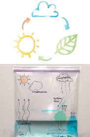 Gartnern Mit Kindern Spannende Experimente Mit Pflanzen Bringen Die Natur Nahe Neueste Dekor Science Experiments Kids Science Projects Kindergarten Science