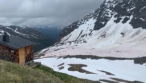 — عناد العتيبي 🇸🇦 (@enad_alotaibi) january 10, 2020. Blutschnee Auf Der Badener Hutte Algen Farben Den Schnee Derzeit Rosarot Osttirol Heute At