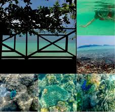 การค้นหาแผนที่ 25 ครั้งล่าสุด ตำบลกายูบอเกาะ อำเภอรามัน จังหวัดยะลา ไป ตำบลยะต๊ะ อำเภอรามัน จังหวัดยะลา by 207.46.13.78 ตำบลคลองเกตุ อำเภอโคกสำโรง. à¸«à¸™ à¸£ à¸­à¸™à¹„à¸›à¸™à¸­à¸™à¸—à¸°à¹€à¸¥ à¸— à¹€à¸à¸²à¸°à¸«à¸§à¸²à¸¢ Pantip