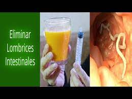Medicamentos Para Eliminar Oxiuros Medicamento Para Eliminar Oxiuros En Ninos Medicamento Oxiuros Ninos