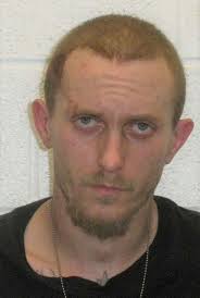 Two face drug charges in South Roxana