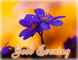 You've shown me the power of love flowers are beautiful, but you are much more beautiful than any flower. Sweet Good Evening Images With Quotes For Lovers Ilove Messages