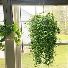 Image result for Handic 31