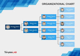 Sample Organizational Template Online Charts Collection