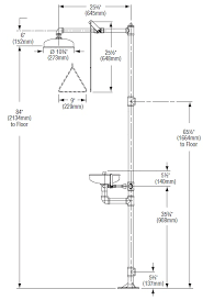 There are combination units available that contain both features: Bradley S19 310jj Drench Shower And Eyewash Unit