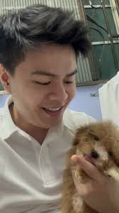 我唱歌给他听 — 《一首简单的歌》 by @wangleehom , #poodle #poodlepuppy