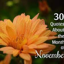 30 Quotes About November Month Of Thanksgiving And Reflection Holidappy