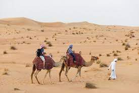 When it comes to the beautiful desert of arabic men are professionals in camel riding. Desert Safari From Dubai With Camel Ride Dinner Music 2021