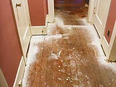 The Mostly Free Way To Get Dried Paint Off Wood Cleaning Wood Floors Cleaning Wood Painted Wood Floors