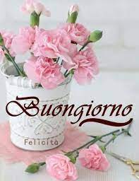 Buongiorno Dedicato A Te Buongiorno Auguri Di Buongiorno Buongiorno Fiori