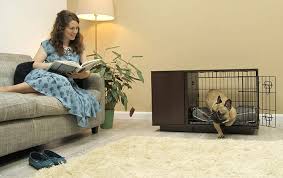 Curated by experts, powered by community. Fido Studio Dog Crate Dog Crates Dog Beds Dog Collars And Leads Omlet