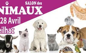 La 7e édition du salon chien chats aura lieu à l'espace champerret à paris le 14 et 15 avril 2018. Salons Expos Chiens Chats Animaux Nouvelle Aquitaine Le Mag Des Animaux