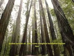 God bless damai yang hilang lirik video. Download Damai 3gp Mp4 Codedfilm