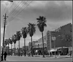 الكرخ الصالحية وتبدو في الصورة سينما رجينت سنة 1964 Baghdad Iraq Iraq Baghdad