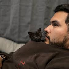 Will a Cobb port work with an already tuned car?