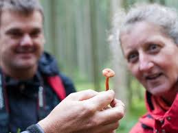 Pilzexkursion mit Thomas Schalk am 30. September 2012