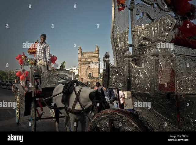Horse cart mumbai india hi-res stock photography and images - Alamy