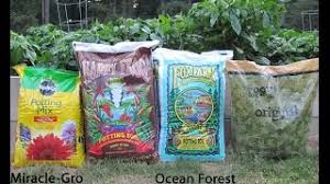 For additional nutrition, blend in our happy frog fruit & flower fertilizer. Ocean Forest Vs Roots Vs Miracle Grow Vs Happy Frog Potting Soil Experiment Youtube