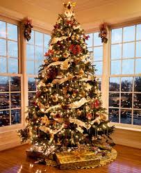 Best christmas trees | top 10 christmas trees for 2021 | top rated christmas trees1. Best Christmas Trees And Decorations For 2020 Capital Christmas