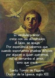 El Verdadero Amor A Pesar De Todo Crece Frases De Santos Frases Religiosas Frases Espirituales