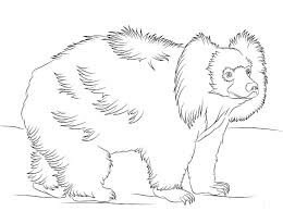 Sloth Bear Coloring Pages