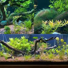 Seachem Flourish Advance - Xin Yang Aquarium And Pets