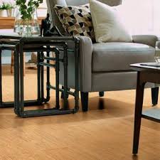 Maybe you would like to learn more about one of these? Vinyl Flooring Duratru Olympian Shaw Floors Interior Non Slip Residential